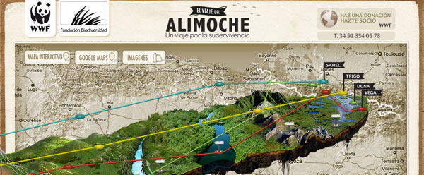 alimoche