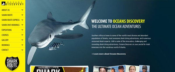 Oceans Discovery
