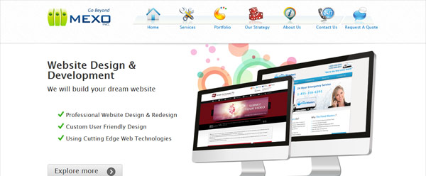 Professional Website