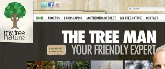 Tree Expert