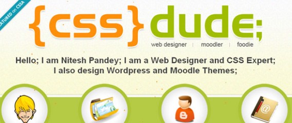 CSS Dude