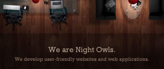 Night Owl Interactive