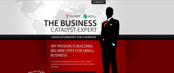 Abobe Business Catalyst Experts