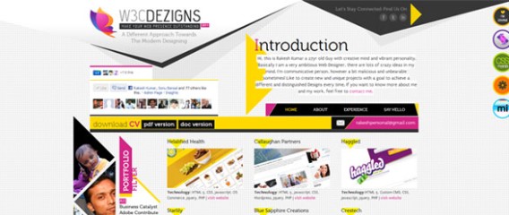 W3C Dezigns