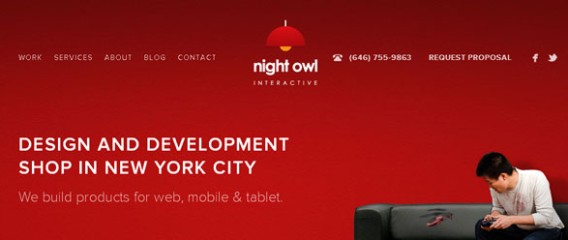 Night Owl Interactive