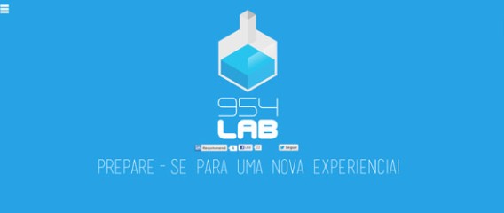 954 Lab