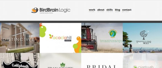 BirdBrain Logic