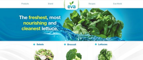 Eva Hydroponic