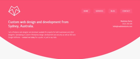 Web Designer & Developer