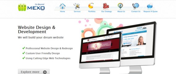 Professional Website
